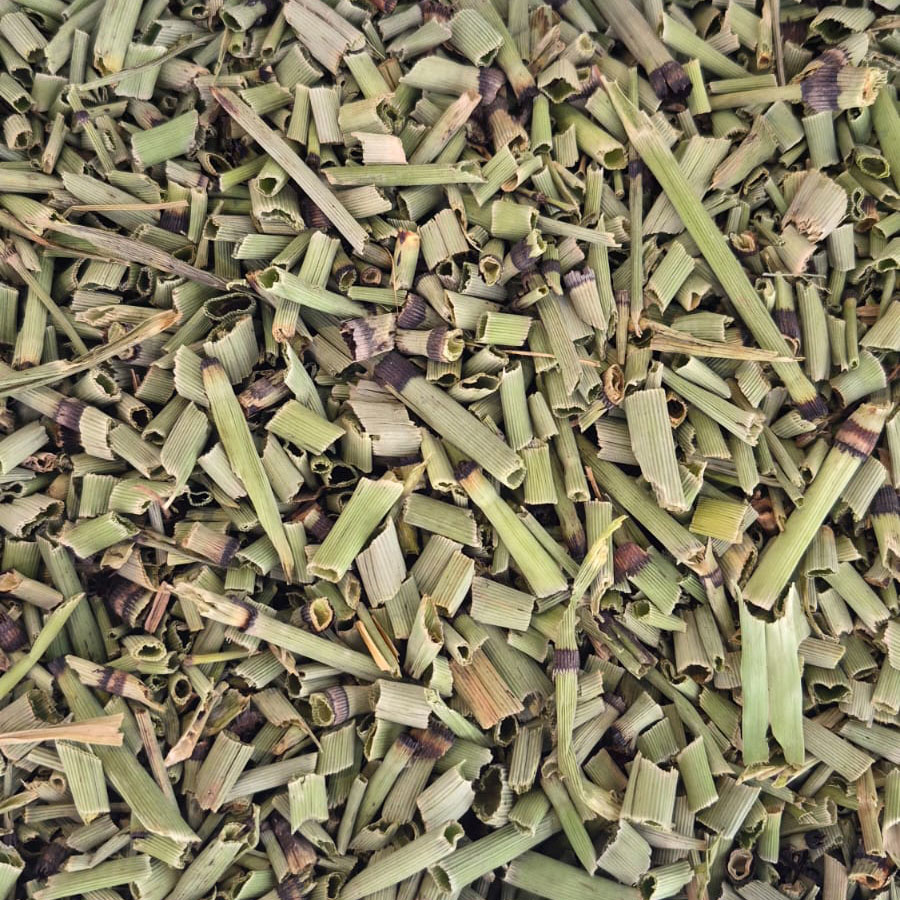 Chá de Cavalinha